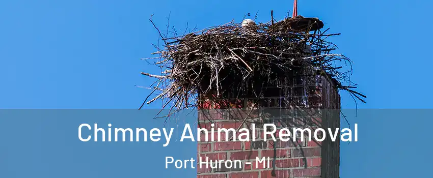 Chimney Animal Removal Port Huron - MI