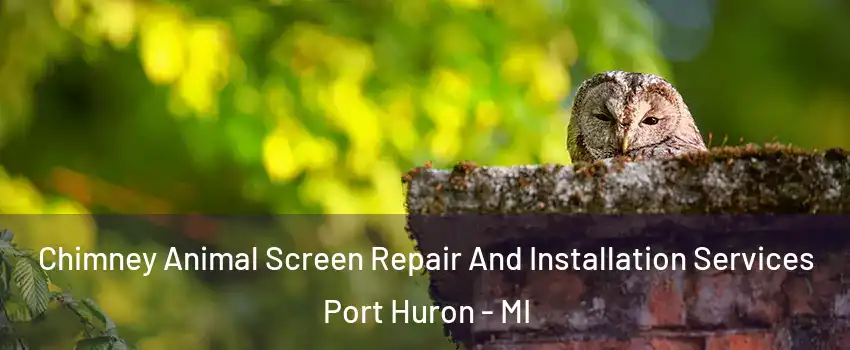  Chimney Animal Screen Repair And Installation Services Port Huron - MI