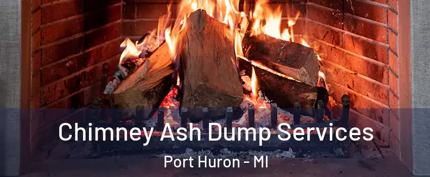  Chimney Ash Dump Services Port Huron - MI