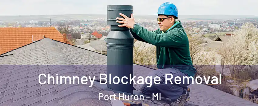  Chimney Blockage Removal Port Huron - MI