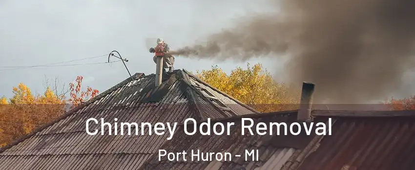  Chimney Odor Removal Port Huron - MI