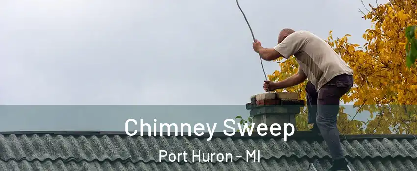  Chimney Sweep Port Huron - MI