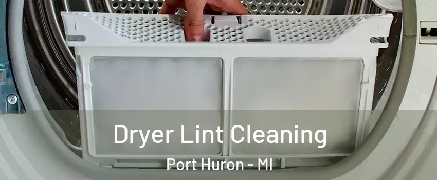  Dryer Lint Cleaning Port Huron - MI