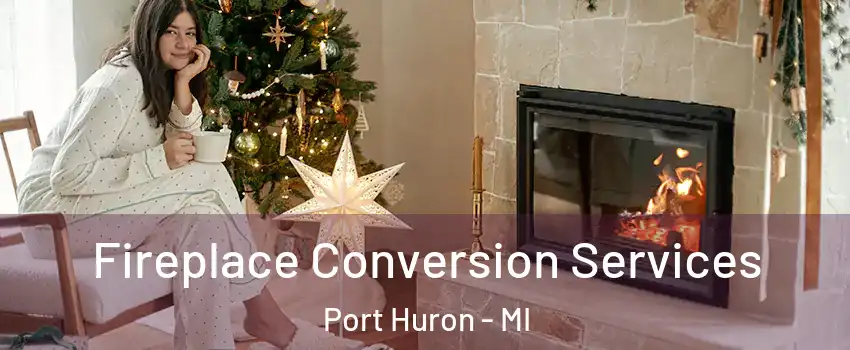  Fireplace Conversion Services Port Huron - MI