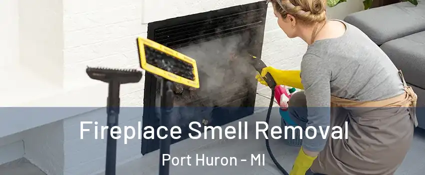  Fireplace Smell Removal Port Huron - MI