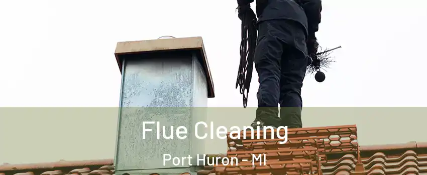  Flue Cleaning Port Huron - MI