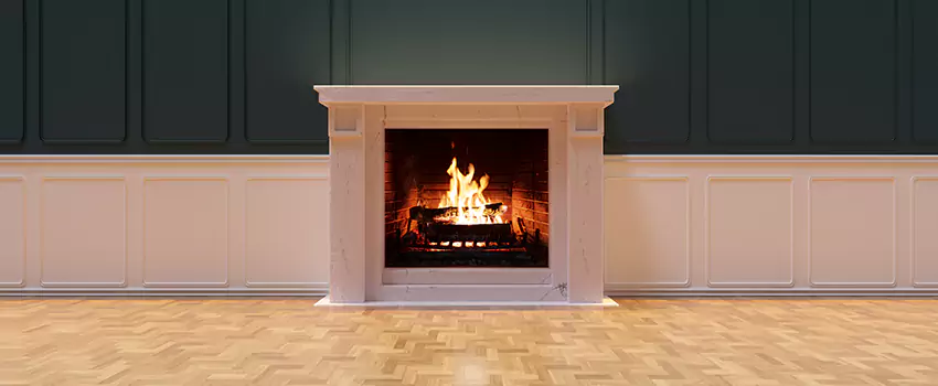Napoleon Electric Fireplaces Inspection Service in Port Huron, Michigan