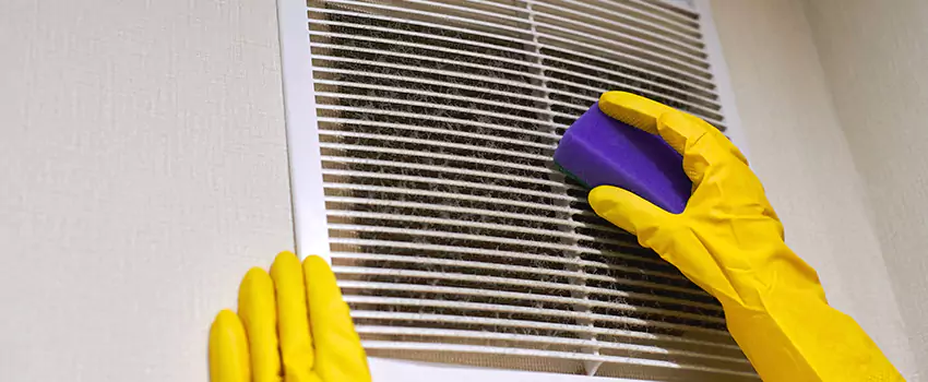 Vent Cleaning Company in Port Huron, MI