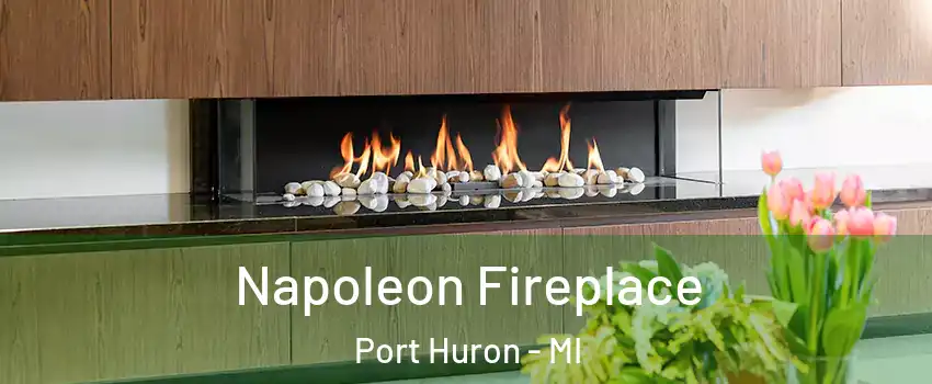  Napoleon Fireplace Port Huron - MI
